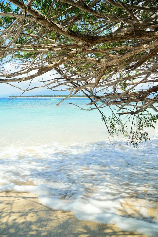 Gazebo Meno Otel Gili Meno Dış mekan fotoğraf